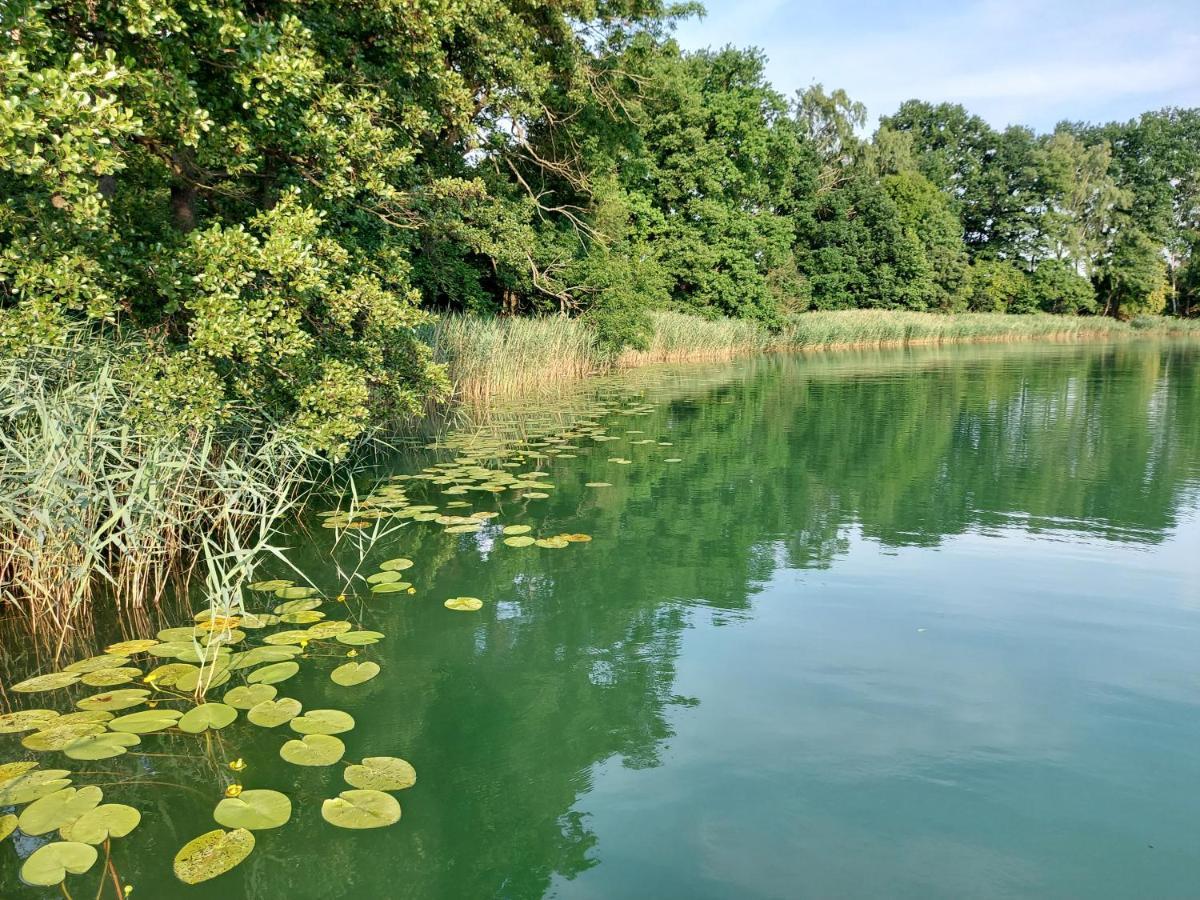 Jw Mazury Domy Wakacyjne Nad Jeziorem-Dom Czapla Waplewo  Exteriör bild