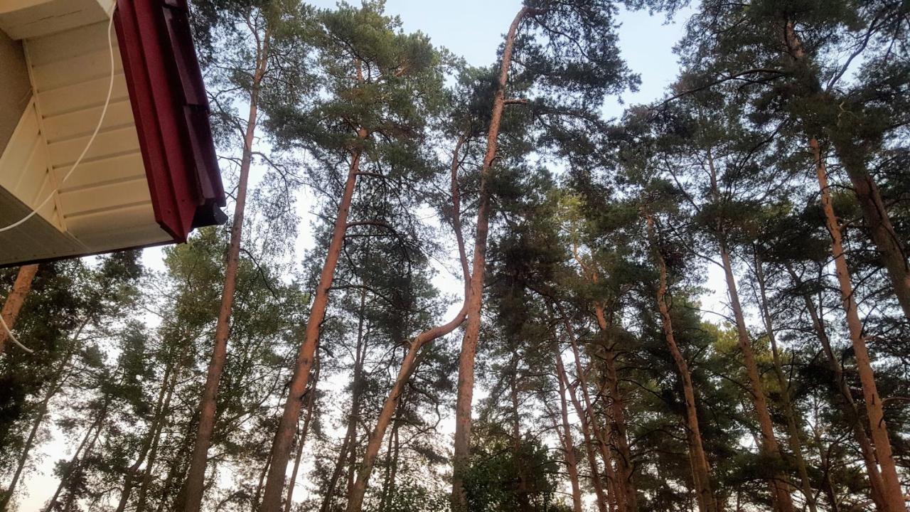 Jw Mazury Domy Wakacyjne Nad Jeziorem-Dom Czapla Waplewo  Exteriör bild
